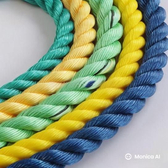PP DANLINE ROPE
