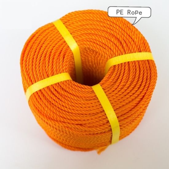 PP DANLINE ROPE