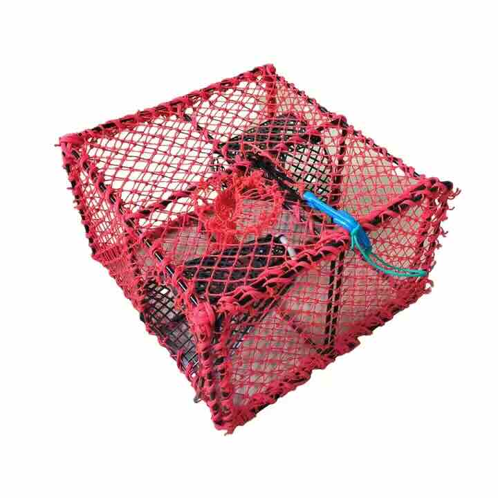 lobster creel pot