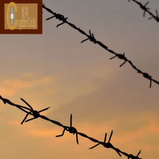 Barbed Wire